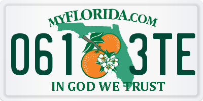 FL license plate 0613TE
