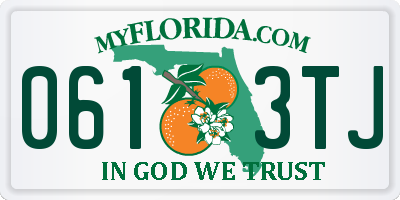 FL license plate 0613TJ