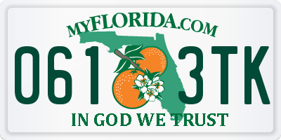 FL license plate 0613TK