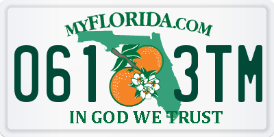 FL license plate 0613TM