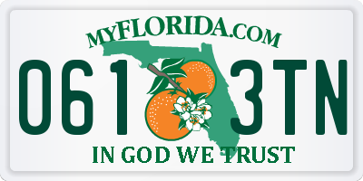 FL license plate 0613TN