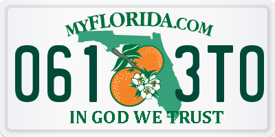 FL license plate 0613TO