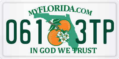 FL license plate 0613TP