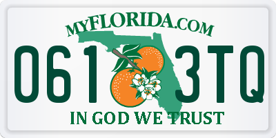 FL license plate 0613TQ