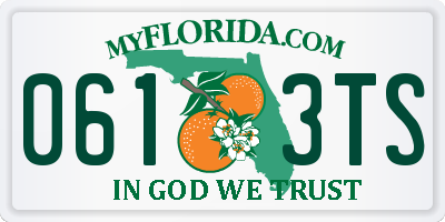 FL license plate 0613TS