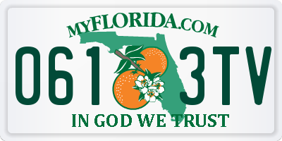 FL license plate 0613TV