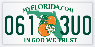 FL license plate 0613UO