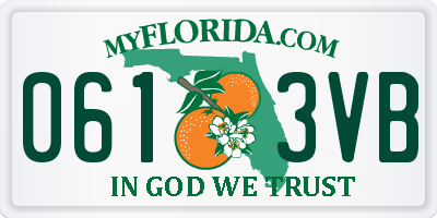 FL license plate 0613VB