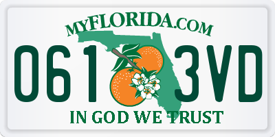 FL license plate 0613VD