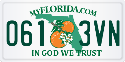 FL license plate 0613VN
