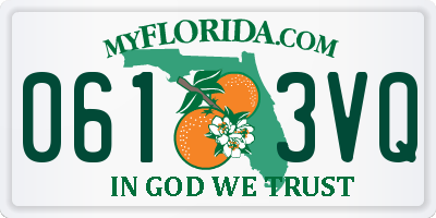 FL license plate 0613VQ