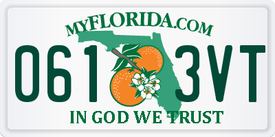FL license plate 0613VT