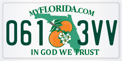 FL license plate 0613VV