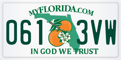 FL license plate 0613VW