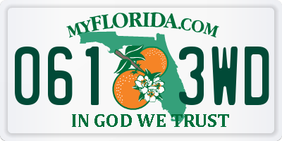 FL license plate 0613WD