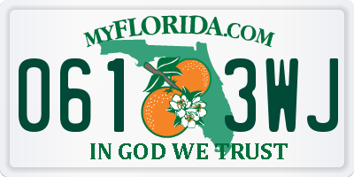FL license plate 0613WJ