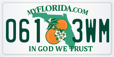 FL license plate 0613WM