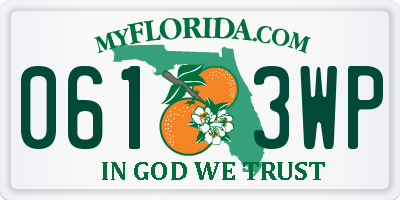 FL license plate 0613WP