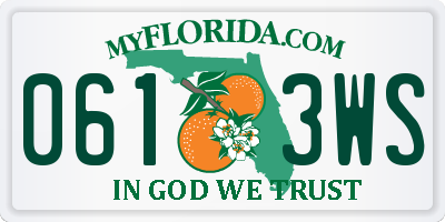 FL license plate 0613WS