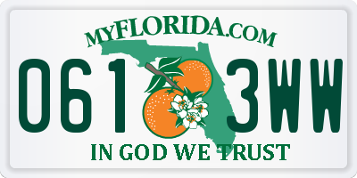 FL license plate 0613WW