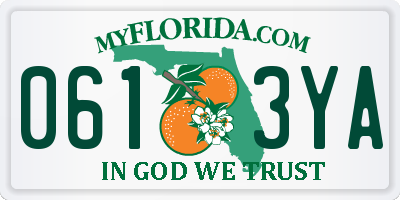 FL license plate 0613YA