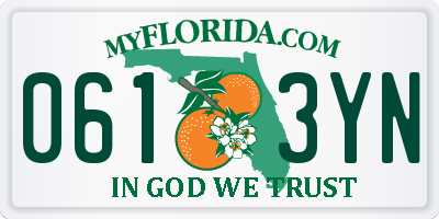 FL license plate 0613YN