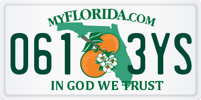 FL license plate 0613YS