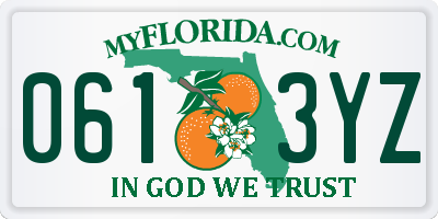 FL license plate 0613YZ