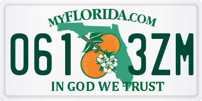 FL license plate 0613ZM