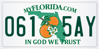 FL license plate 0615AY