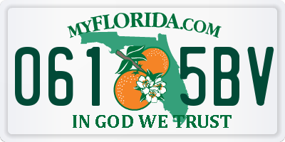 FL license plate 0615BV