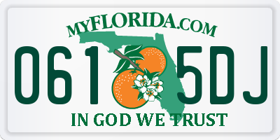 FL license plate 0615DJ