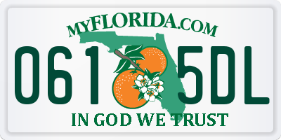 FL license plate 0615DL