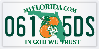 FL license plate 0615DS