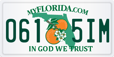 FL license plate 0615IM