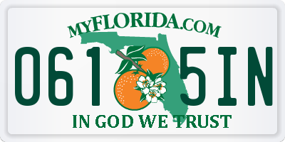 FL license plate 0615IN
