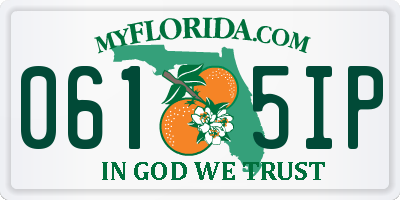 FL license plate 0615IP