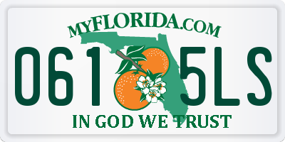 FL license plate 0615LS