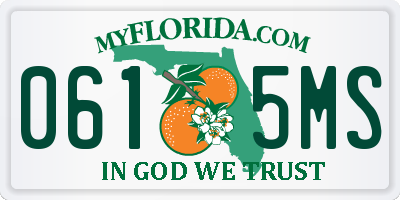 FL license plate 0615MS