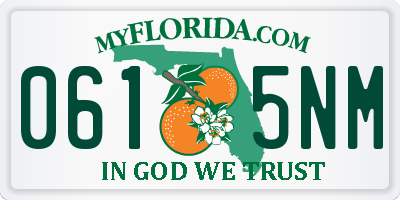 FL license plate 0615NM