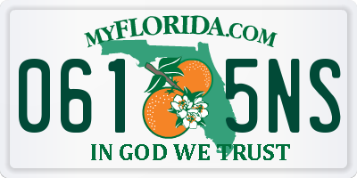 FL license plate 0615NS