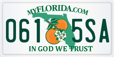 FL license plate 0615SA