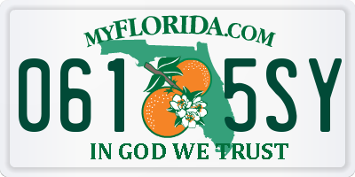 FL license plate 0615SY
