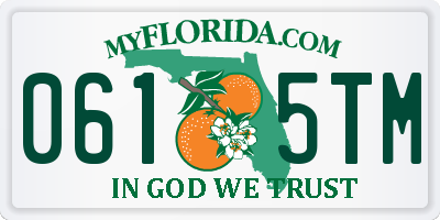 FL license plate 0615TM