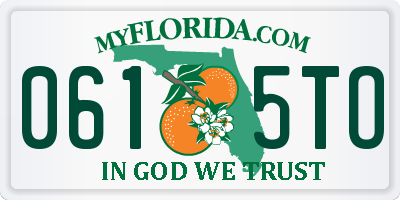 FL license plate 0615TO