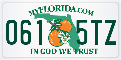 FL license plate 0615TZ