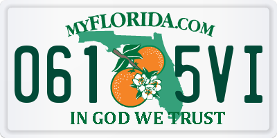FL license plate 0615VI
