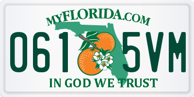 FL license plate 0615VM
