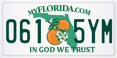 FL license plate 0615YM