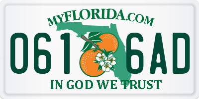 FL license plate 0616AD